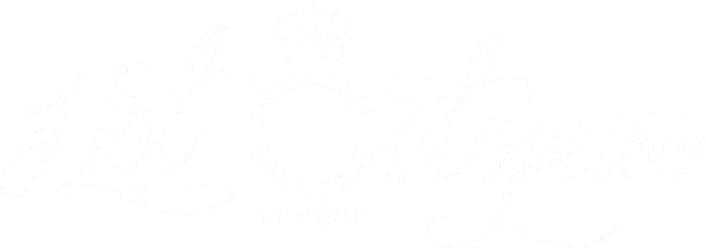 hot octopuss logo